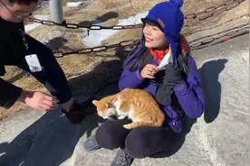 流浪猫上华山成“网红”，撒娇打滚配合拍照视频封面