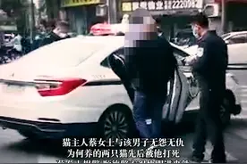 顺德一男子两度虐猫竟因曾被猫抓伤？律师：已侵犯猫主财产权图片