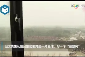 “河景”变“墓景”！上海一小区上百户居民很闹心：白天不敢往那看图片