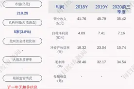 森麒麟：拟在2021年度为下属子公司提供连带责任担保，担保额度合计15亿元图片
