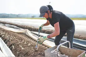确保耕地数量 提升耕地质量图片