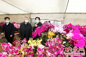 李小汇一行到潢川调研图片