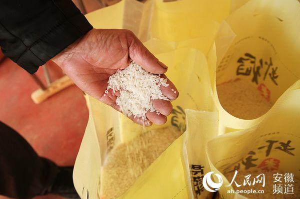 联合体怎么“联”？“肥东模式”助力乡村振兴