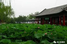 乾隆皇帝与夏雨荷图片