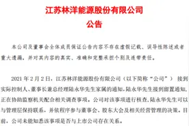 林洋能源实控人被留置！前景良好股东阵容豪华 公司突逢“不测风云”图片