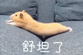 精神小伙开豪车“咆哮”佛山街头，这下老实了图片