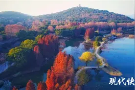 新春走基层｜助力就地过年，江苏旅游景区优惠名单新鲜出炉图片