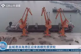 盐城港滨海港区迎来首艘外贸货轮，满载2万吨镍铁！视频封面