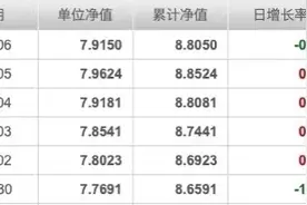 吵什么吵！张坤不是只买了上海机场一只票，易方达中小盘连涨两天图片