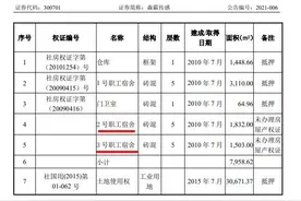 森霸传感拟购买实控人老婆旗下房产 一董事投了反对票图片