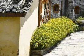 漫步这藏匿于大山之中的古村，享受静谧时光！图片