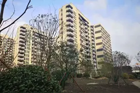 松江区体量最大的长租公寓计划今年上半年入市，推出房源近2400套图片