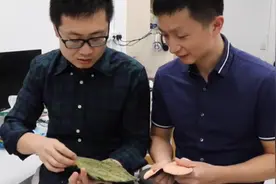 带队发明“皮肤VR”，能隔空抚触远程号脉，对话香港城大博导于欣格图片