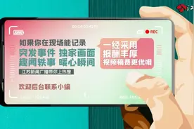 江苏一教师被查处图片