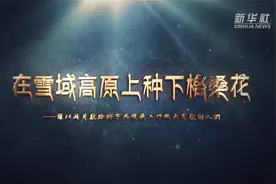 他们在雪域高原上种下“格桑花”视频封面