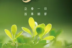 今日立春｜一年之计在于春，疏肝养阳助生发图片