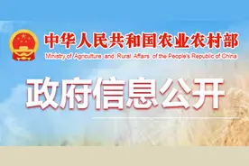 关于进一步做好远洋渔船境外报废处置工作的通知图片