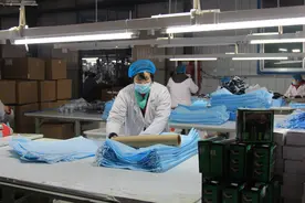 陵城区义渡口镇：做强主导产业，加快转型升级图片