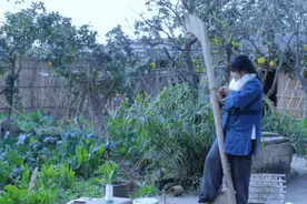 李子柒刷新吉尼斯世界纪录：最多订阅量的YouTube中文频道图片