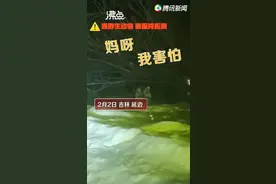 不敢动！吉林女子下班途中偶遇野生东北虎，对视几秒后直呼害怕图片