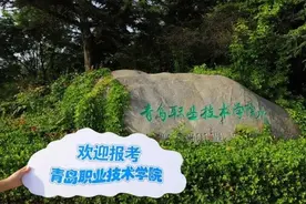 青岛职业技术学院2021单独招生、综合评价招生指南图片
