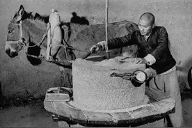 村庄的驴们图片