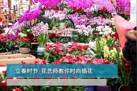 立春时节 花艺师教你时尚插花视频封面