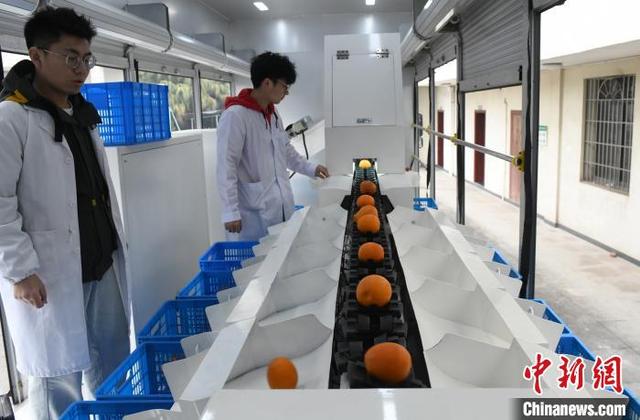 探访国家级柑桔研究所 智能化应用为柑橘种植提供便利