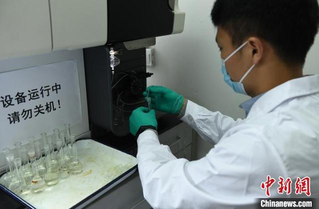 探访国家级柑桔研究所 智能化应用为柑橘种植提供便利