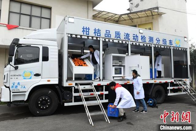 探访国家级柑桔研究所 智能化应用为柑橘种植提供便利