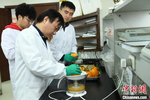 探访国家级柑桔研究所 智能化应用为柑橘种植提供便利