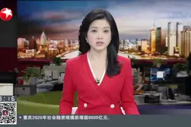 “人人影视字幕组”涉盗版2万余部  警方抓获14人视频封面