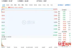 科大讯飞歌尔股份上海机场上海家化……多只大白马近期接连闪崩图片