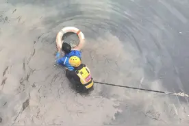 外卖员闯红灯被查跳河背后的骑手之困：配送时间紧安全保障低图片