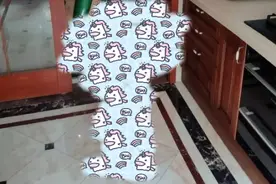 "胶衣娃娃"那案子，判了图片