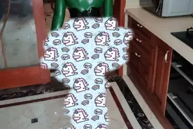 "胶衣娃娃"那案子，判了图片
