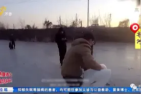 山东：天鹅伴侣死亡后，另一只竟绝食“殉情”……图片