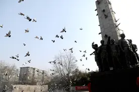 中国第二座“国际和平城市”落地山东潍坊图片