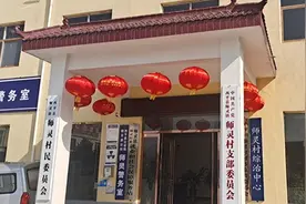 西平县师灵镇开展“挂灯笼·迎新春”活动图片