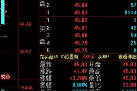 昨日闪崩千亿白马股反弹：高毅资产辟谣，科大讯飞称经营正常图片