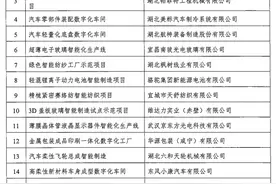 2020年湖北“智”造试点名单公布 39个项目上榜图片