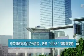 中央财政亮出百亿元资金，这些“小巨人”有望获支持视频封面