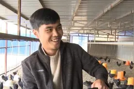 东川深山里的养鸡人：薛开勇图片
