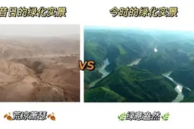 开飞机去播种！他们在沙漠创造奇迹图片