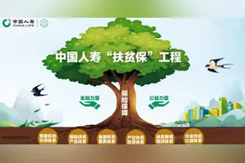中国人寿“扶贫保”工程助推全面脱贫与乡村振兴有效衔接图片