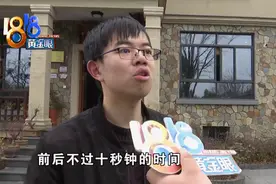 亲眼目睹“狗兄弟”被拖走，最近它有些抑郁了？图片