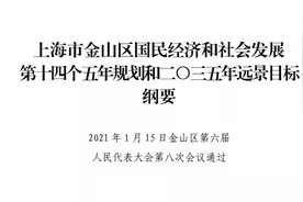 重磅！金山轨道交通规划图来了图片