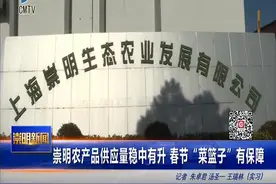 崇明农产品供应量稳中有升 春节“菜篮子”有保障视频封面