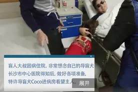 暖心！医院特许导盲犬探望生病主人，尾巴瞬间摇成电动马达图片