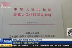 最高法发布新刑事诉讼法司法解释：外逃贪官可适用缺席审判视频封面